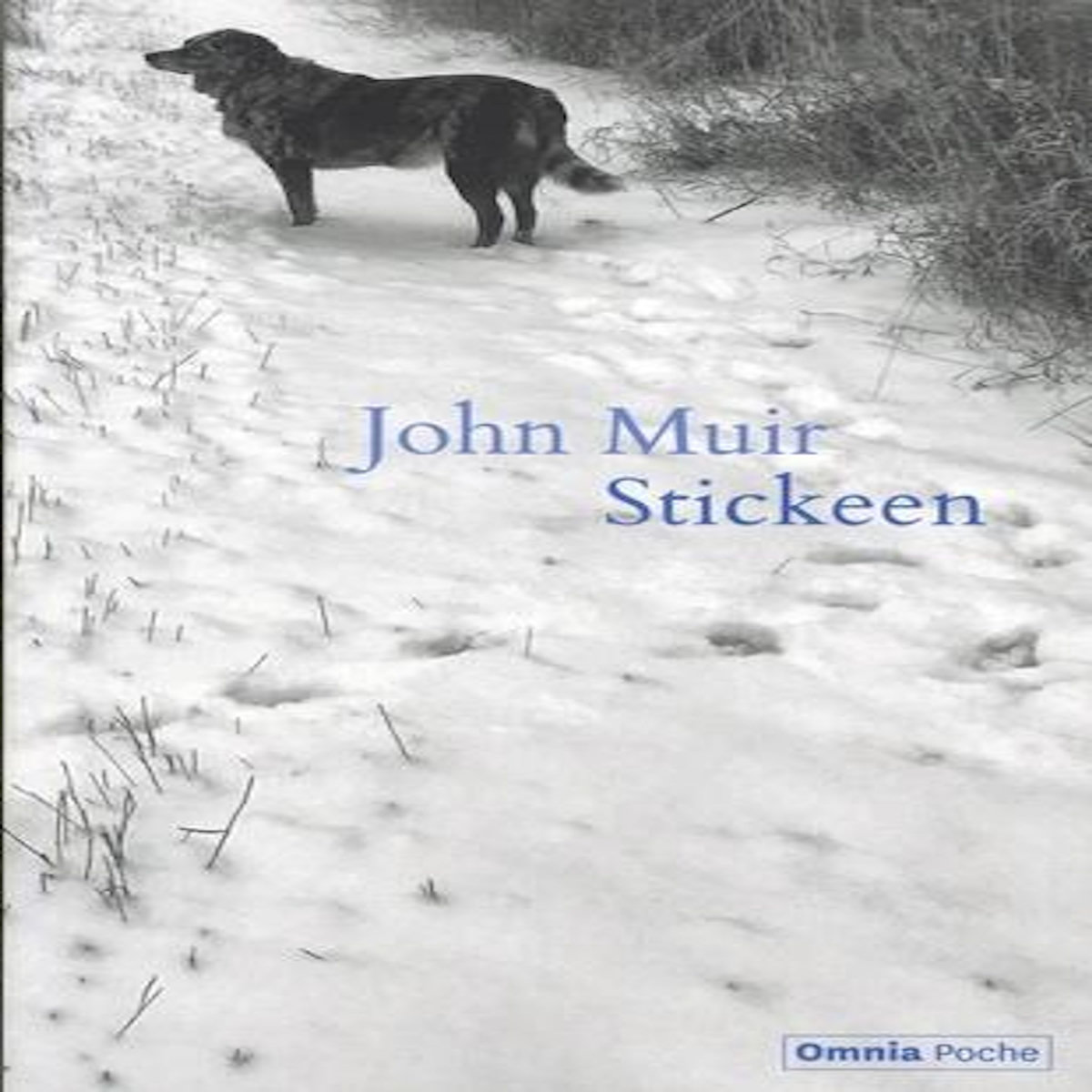 STICKEEN, Muir John