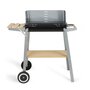 LIVOO Barbecue à charbon 48x28cm - doc244