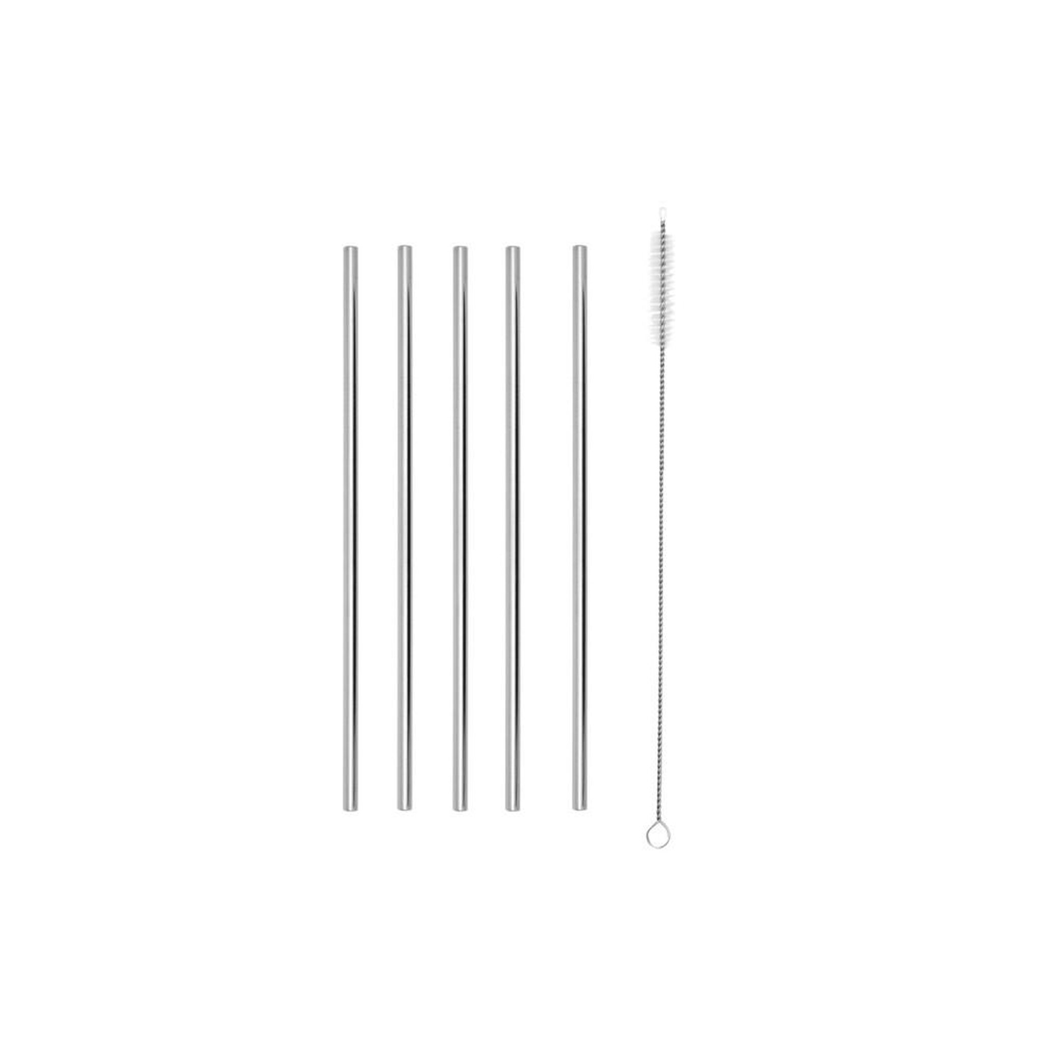 Set de 5 pailles réutilisables en acier inoxydable avec brosse de nettoyage