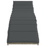 Voir la diapositive 4 : VIDAXL Chaises longues lot de 2 et coussins gris clair resine tressee
