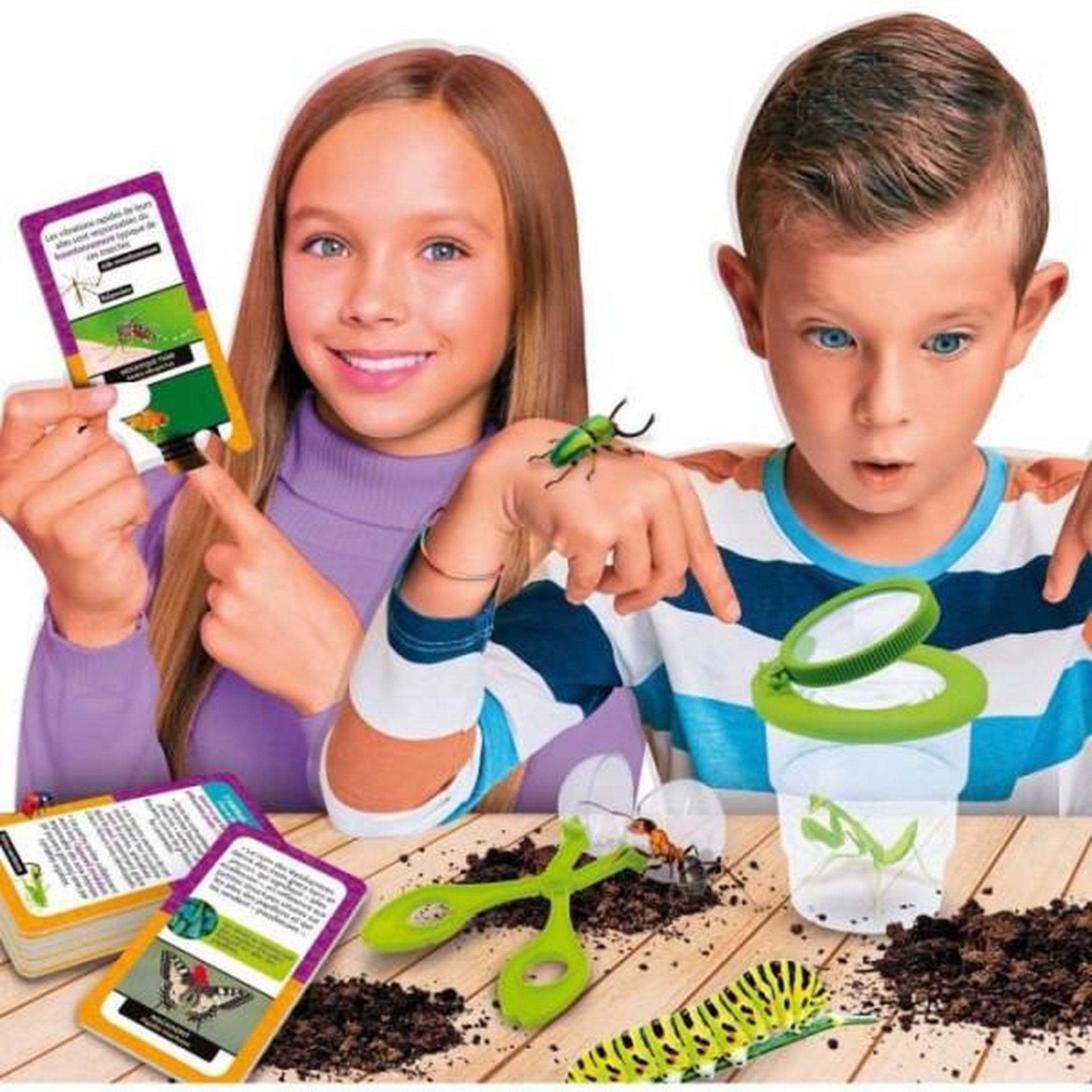 Voir la diapositive 3 : LISCIANI GIOCHI Découverte des insectes - Kit Scientifique - I'M A GENIUS POCKET