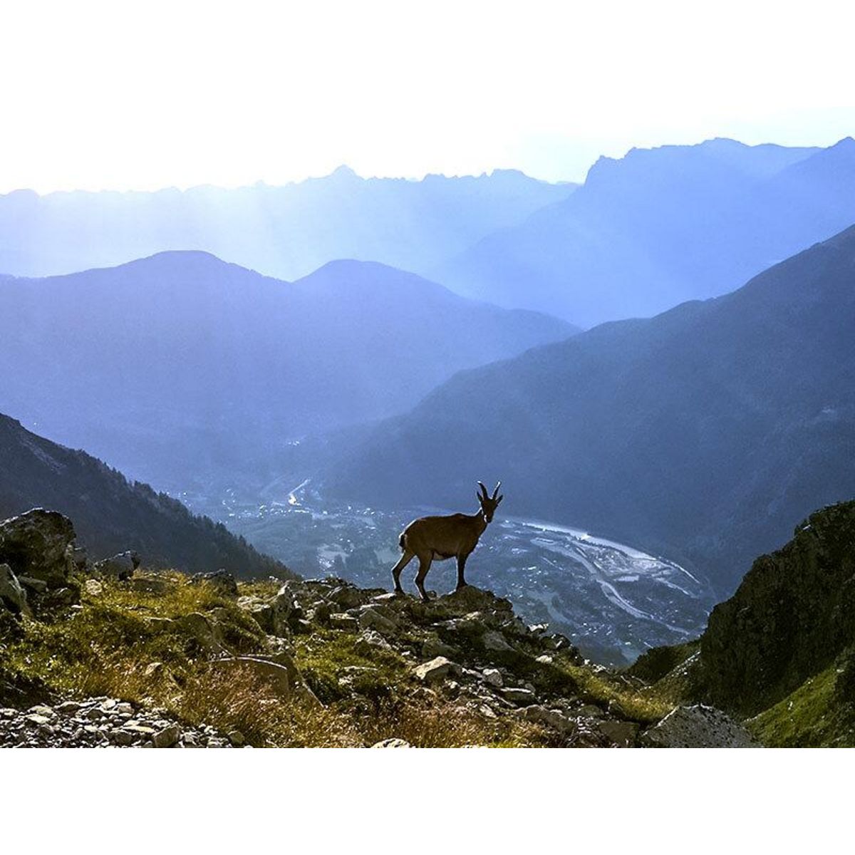 Smartbox Randonnée face au mont Blanc : 5h pour découvrir la géologie - Coffret Cadeau Sport & Aventure