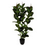 Voir la diapositive 1 : ATMOSPHERA Plante Artificielle  Ficus Robusta  120cm Vert