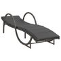 Voir la diapositive 3 : VIDAXL Chaises longues lot de 2 avec coussins gris resine tressee
