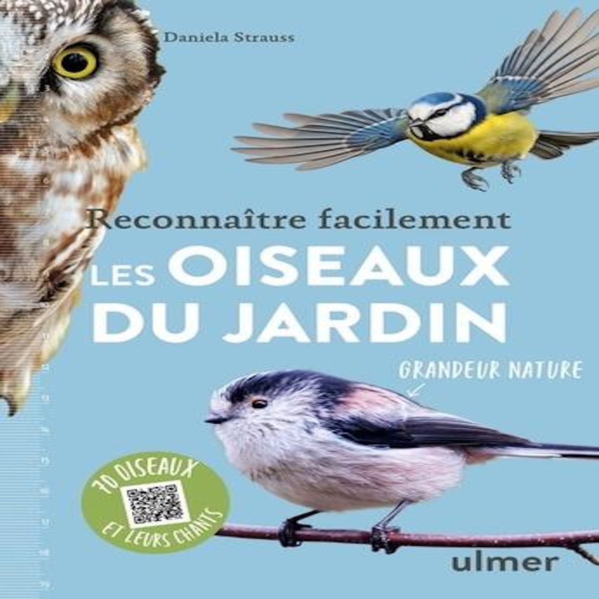 RECONNAITRE FACILEMENT LES OISEAUX DU JARDIN, Strauss Daniela
