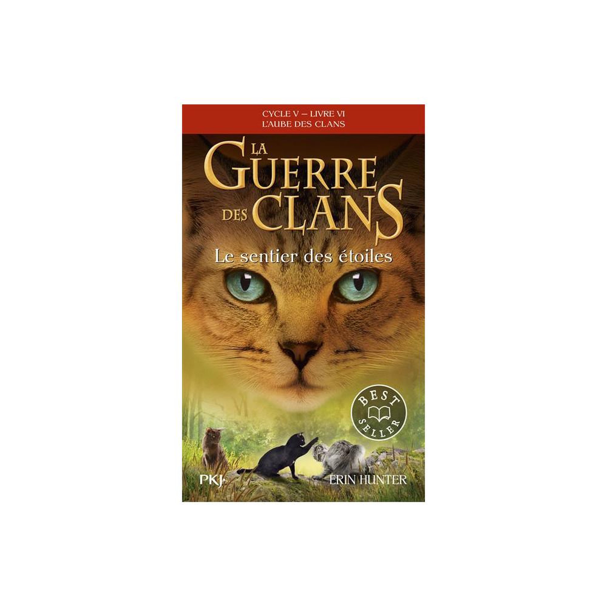 La guerre des clans cycle v tome 6 le sentier des étoiles (poche)