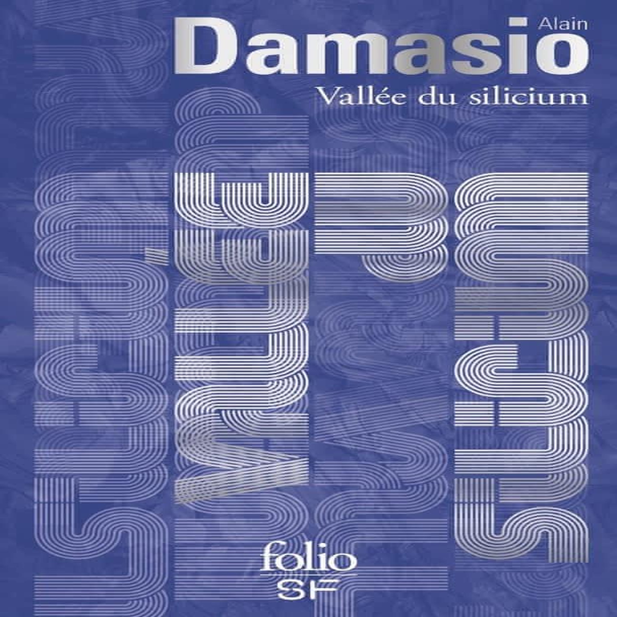 VALLEE DU SILICIUM, Damasio Alain