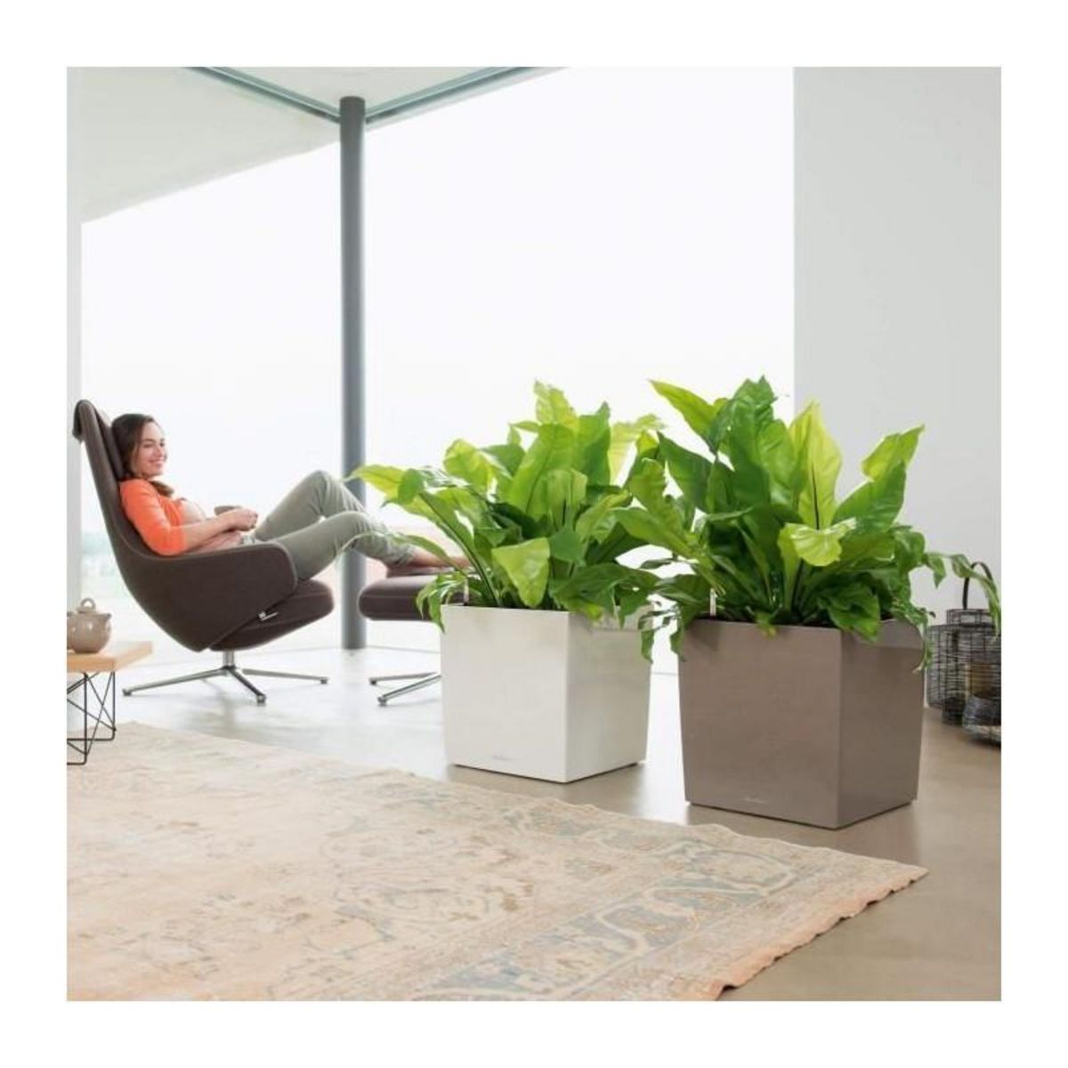 LECHUZA Cube Premium 40 - kit complet, rouge scarlet brillant 40 cm