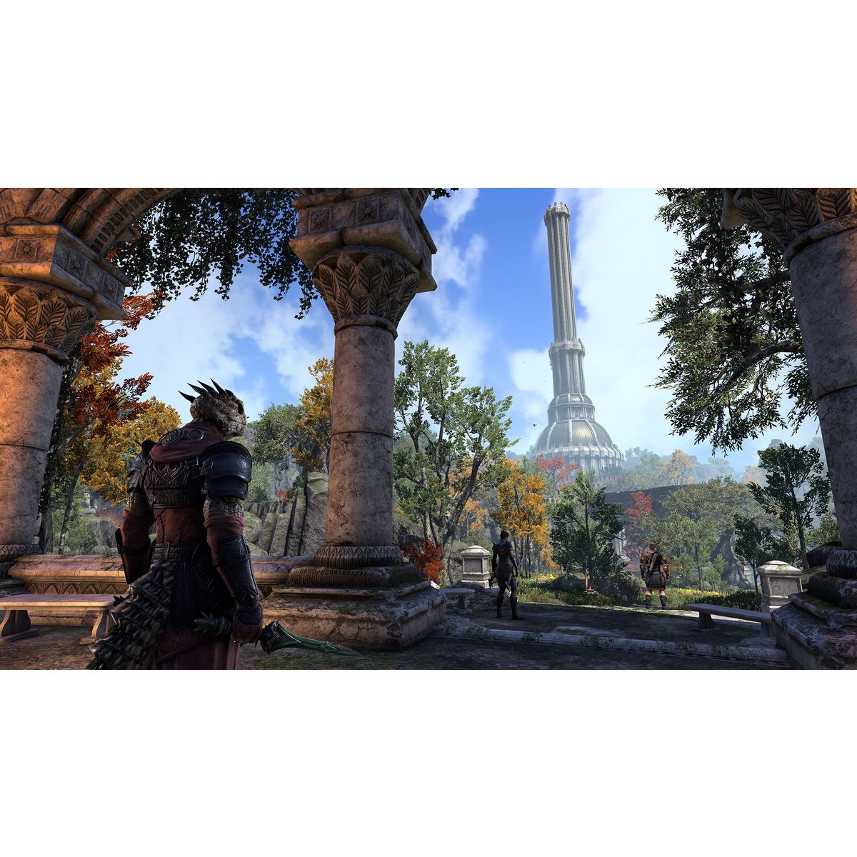 The Elder Scrolls Online Blackwood Collection PS4