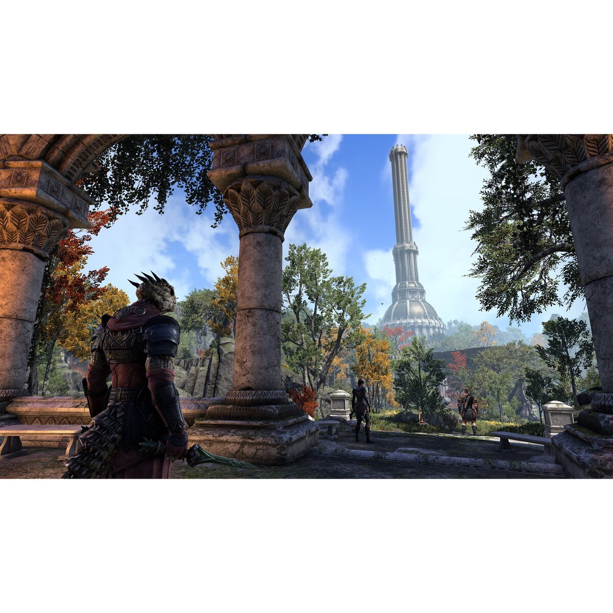The Elder Scrolls Online Blackwood Collection PS4