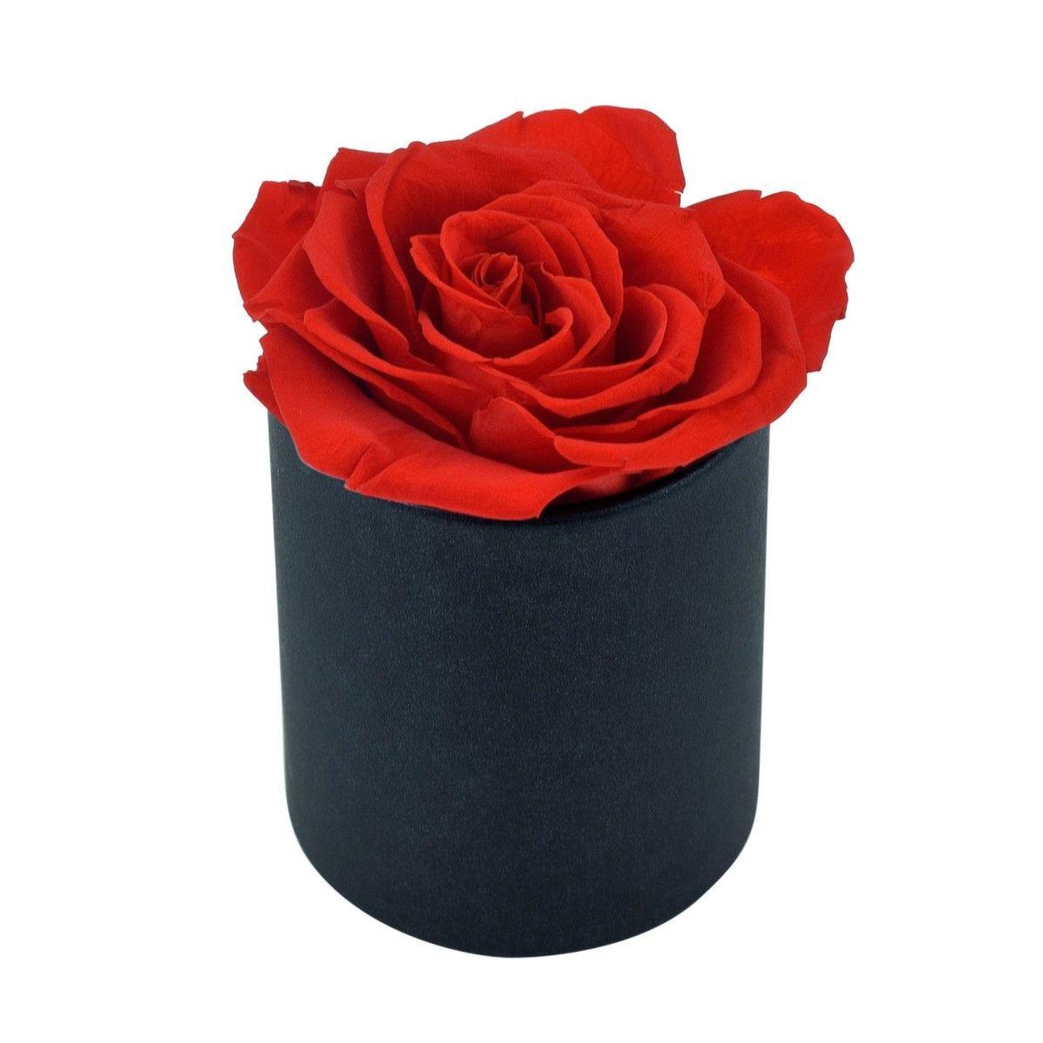 Voir la diapositive 2 : SC CRYSTAL Coffret rose éternelle - stabilisée