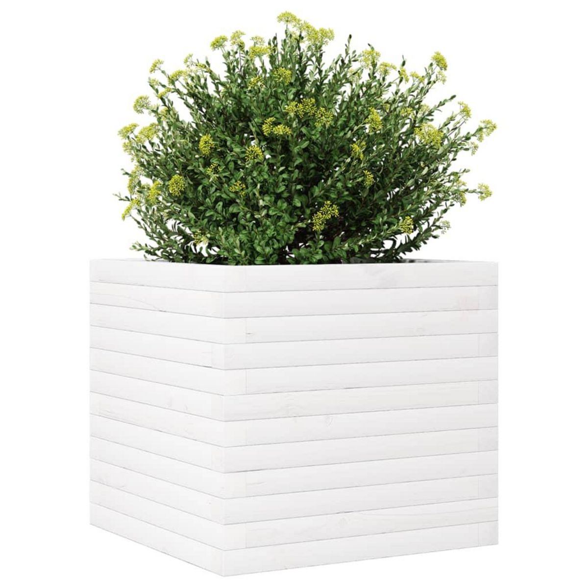 VIDAXL Jardiniere blanc 50x50x46 cm bois de pin massif