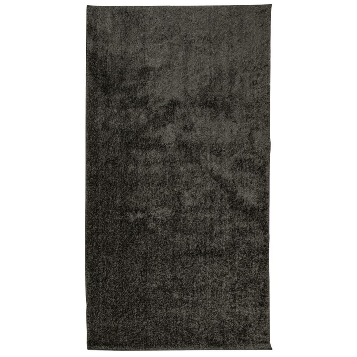 VIDAXL Tapis ISTAN a poils longs aspect brillant anthracite 80x150 cm
