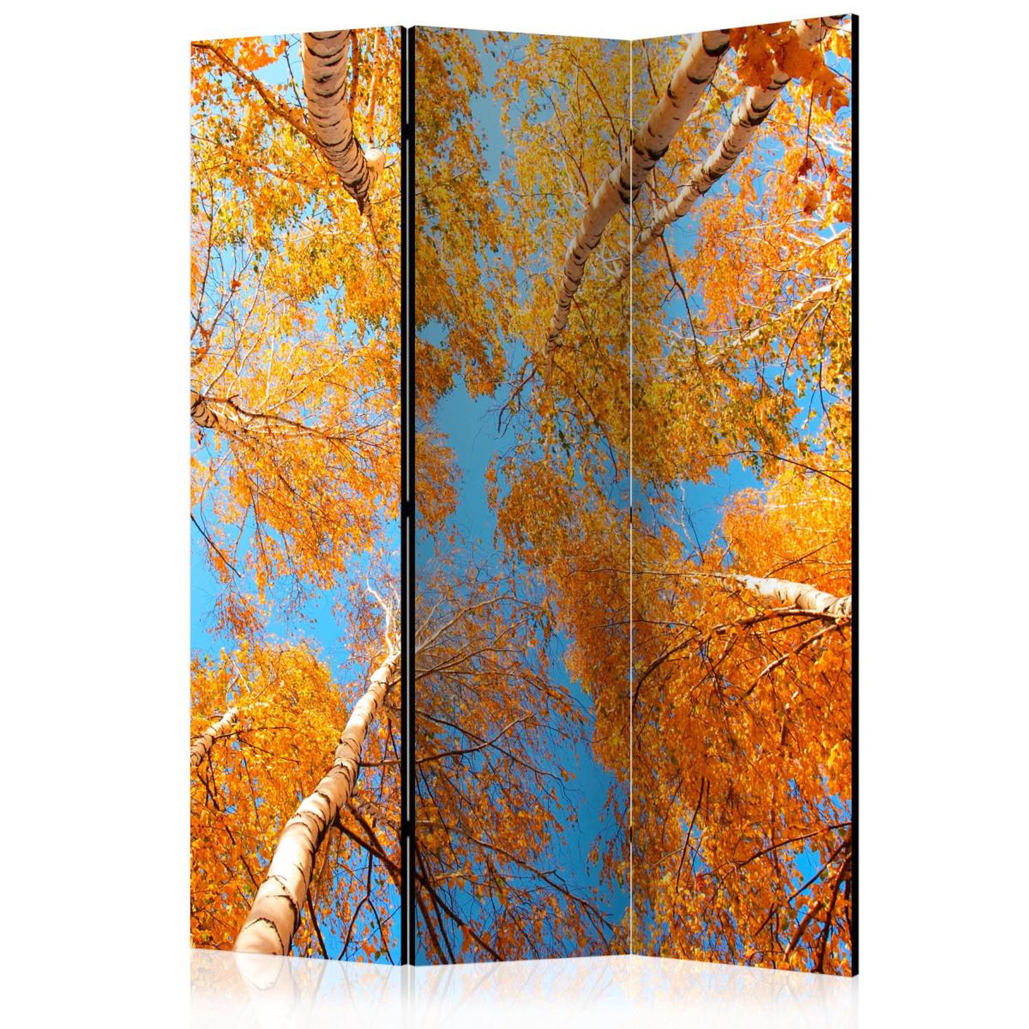 Paris Prix Paravent 3 volets  autumnal treetops  135x172cm