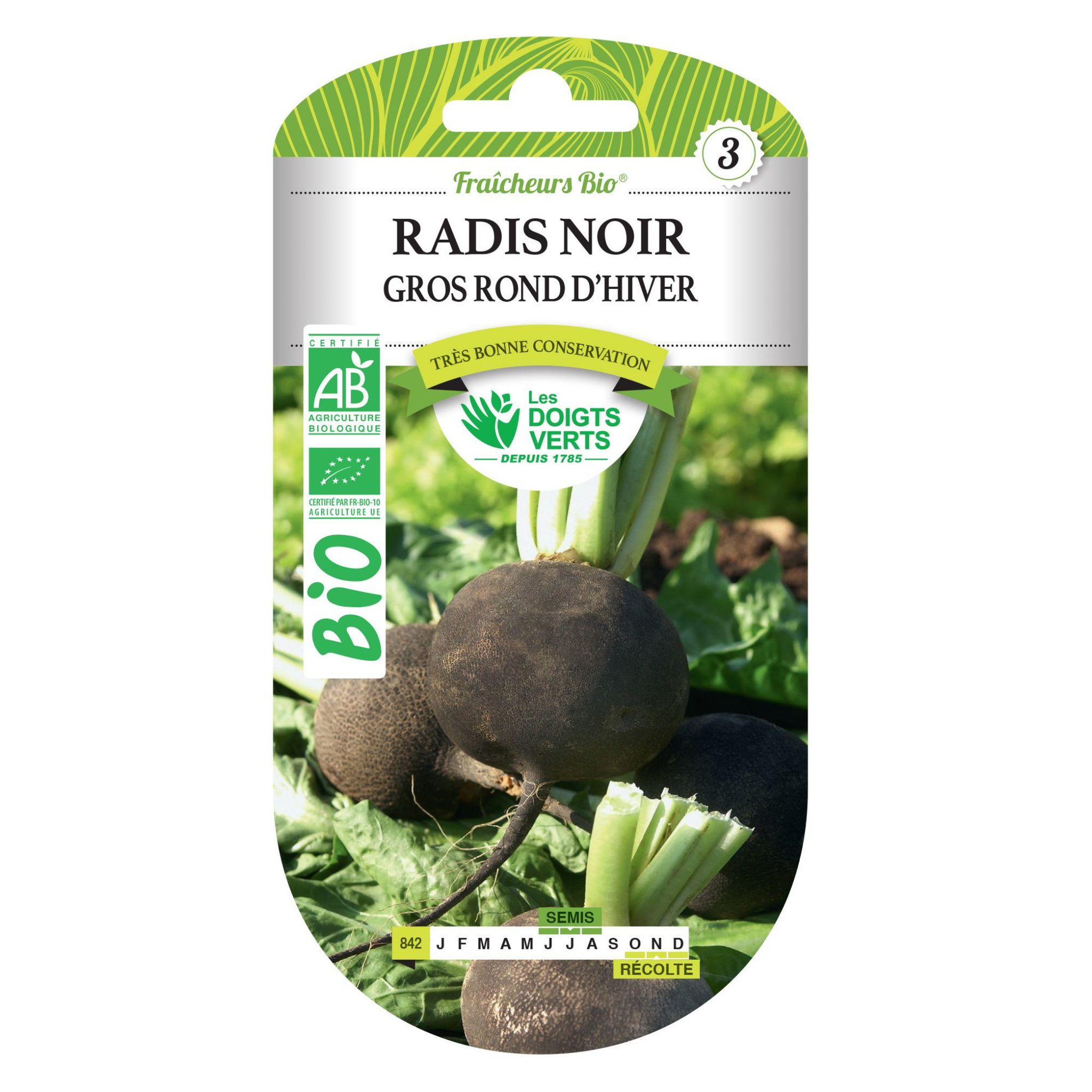 LES DOIGTS VERTS Graines de radis noir gros rond d'hiver BIO Les Doigts Verts