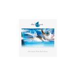 Music That Died Alone Vinyle Argent Clair et Bleu Marbré