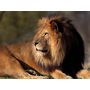 Voir la diapositive 2 : Smartbox Activité en famille : entrée pour 2 adultes et 1 enfant au Parc Zoologique de Paris - Coffret Cadeau Sport & Aventure