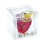 Voir la diapositive 3 : SC CRYSTAL Ecrin décoré d'une rose éternelle stabilisée - rouge