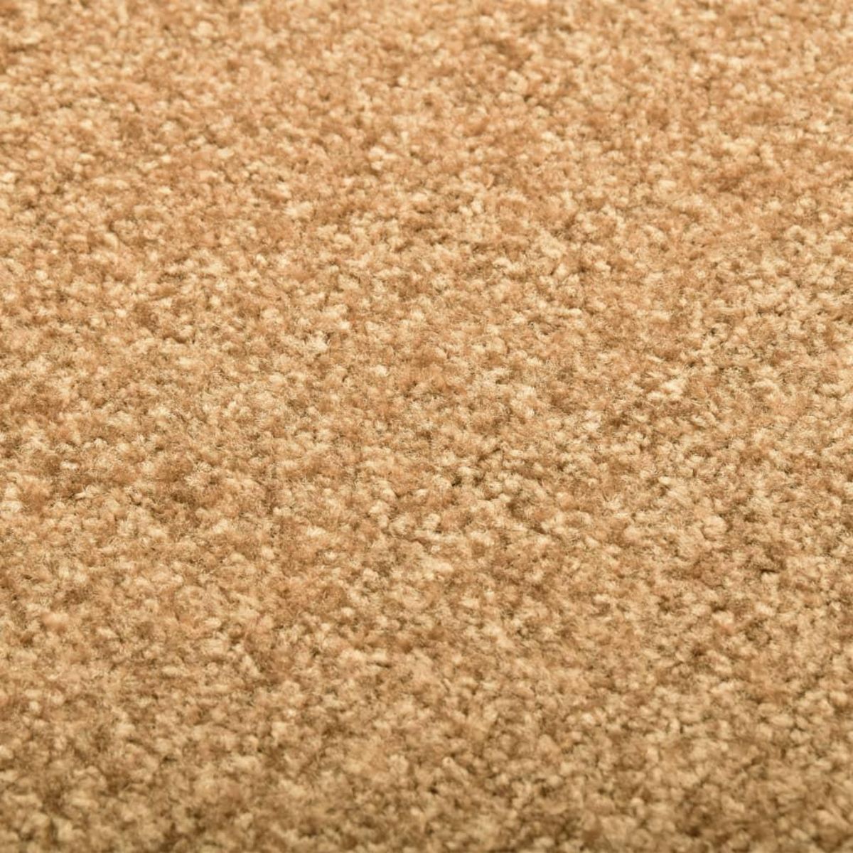 VIDAXL Paillasson lavable Creme 40x60 cm