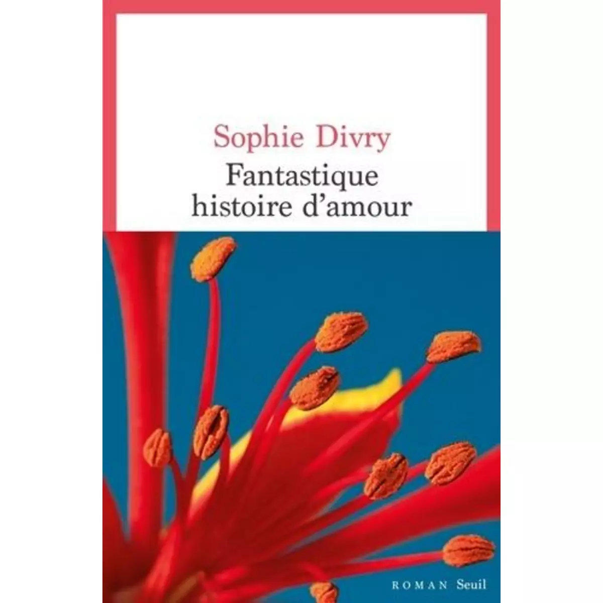  FANTASTIQUE HISTOIRE D'AMOUR, Divry Sophie