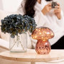 Voir la diapositive 2 : ATMOSPHERA Lampe à Poser Champignon  Malu  15cm Rose Antique