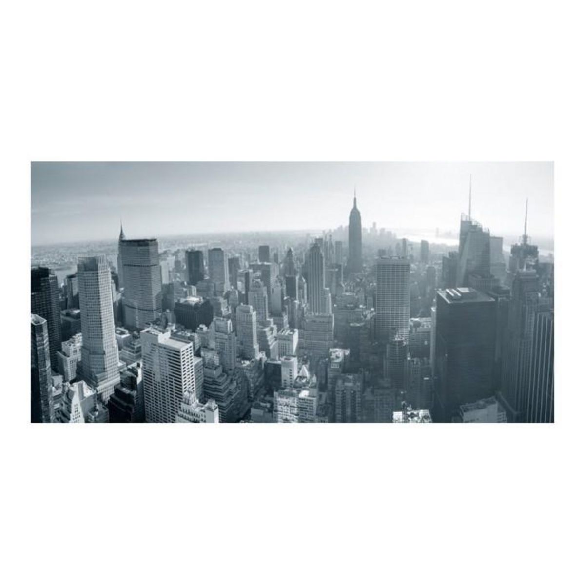 Paris Prix Papier Peint XXL  Panorama de New York en Noir & Blanc  270x550cm