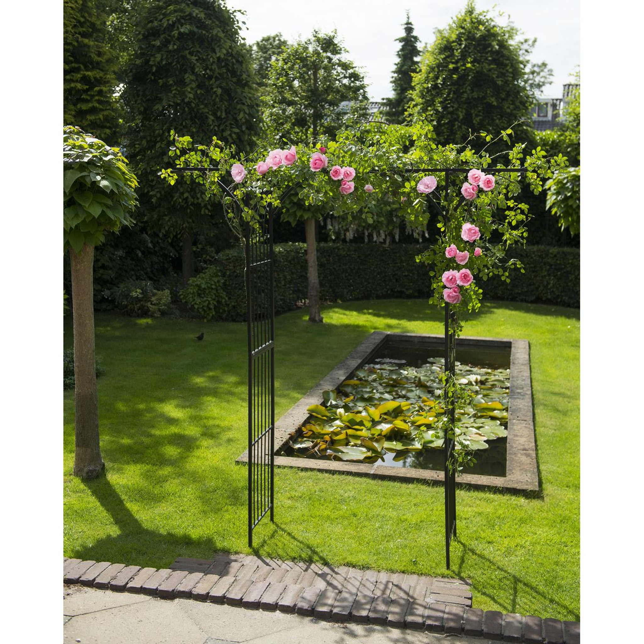 Voir la diapositive 6 : Nature Pergola double droite en acier galvanisé noir