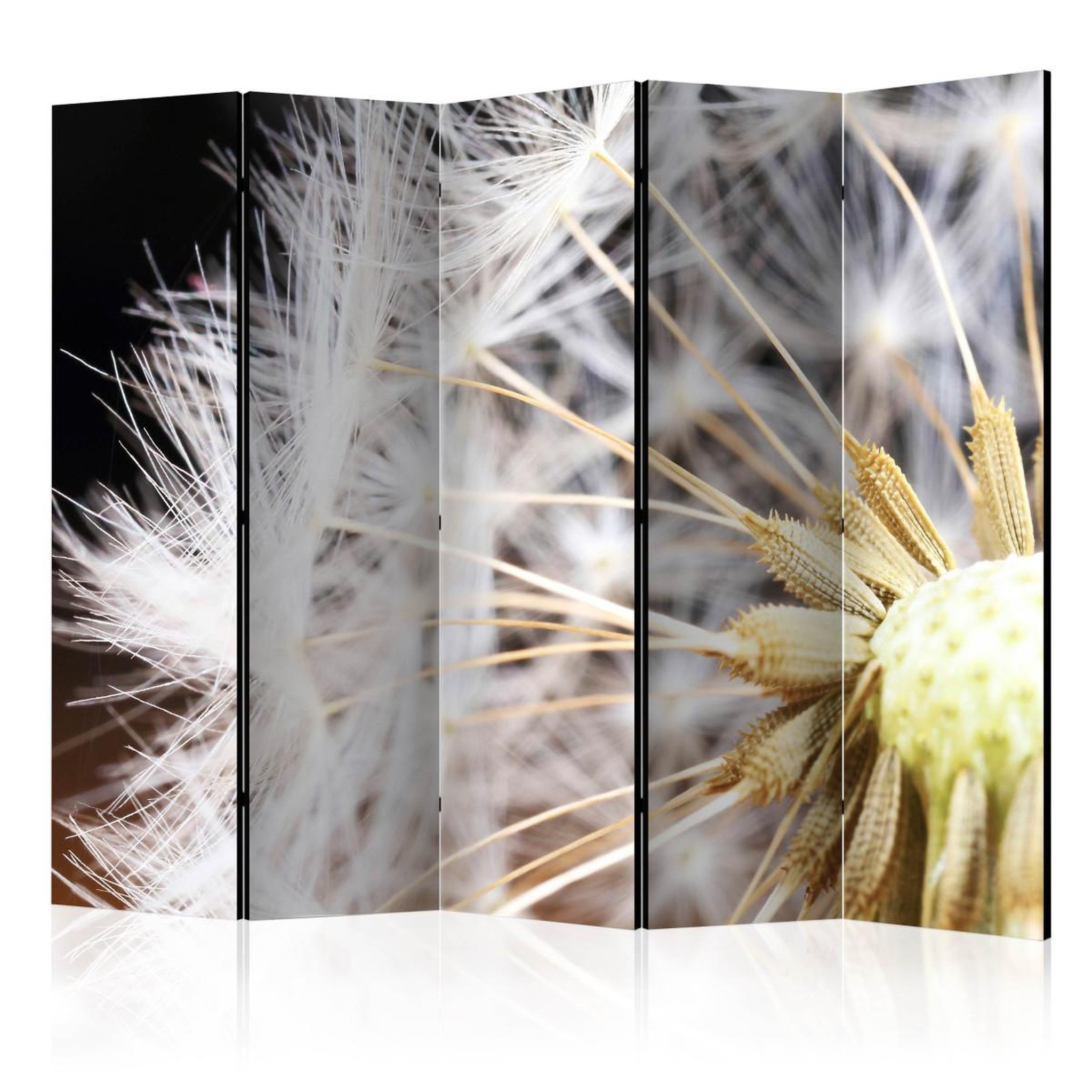 Paris Prix Paravent 5 volets  fluffy dandelion  172x225cm