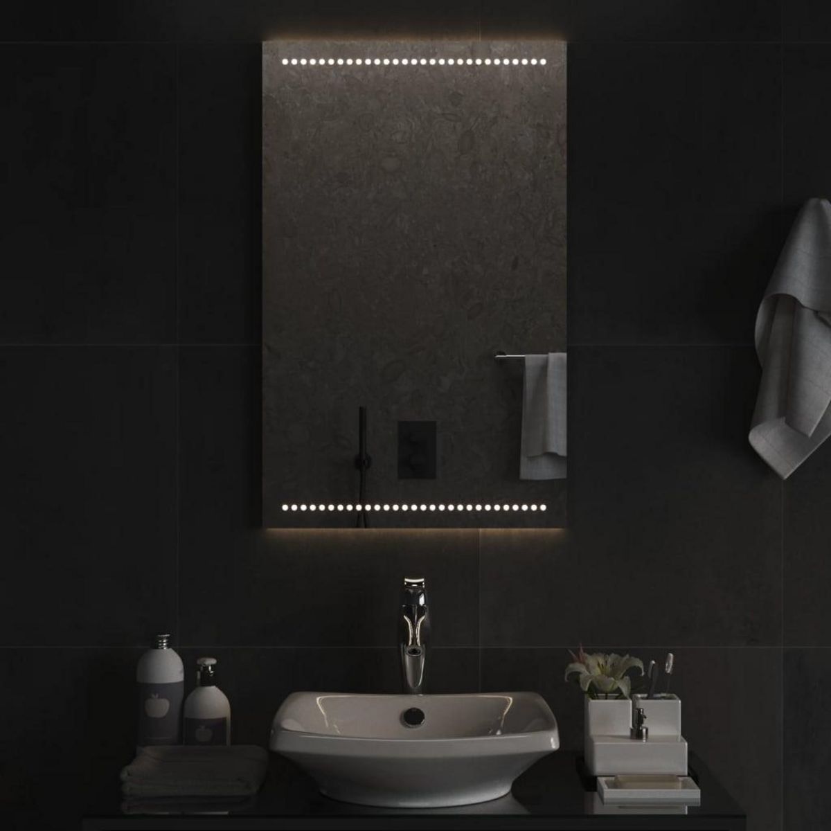 VIDAXL Miroir de salle de bain a LED 50x80 cm