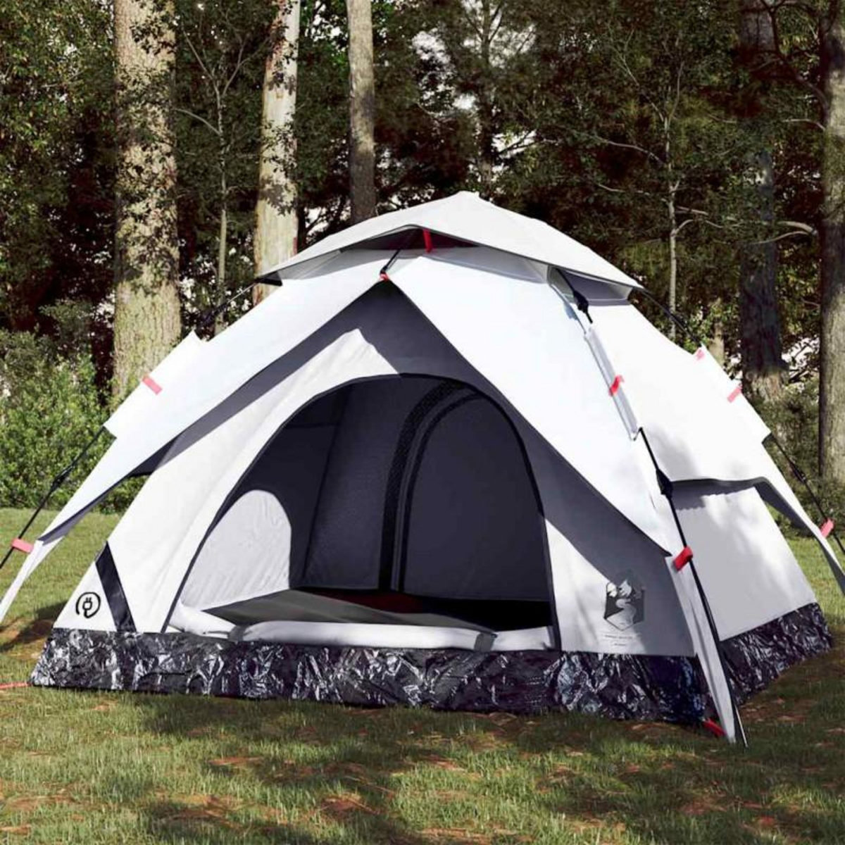 VIDAXL Tente de camping à dôme 4 personnes libération rapide