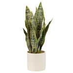 Paris Prix Plante Artificielle en Pot  Sansevieria  49cm Vert