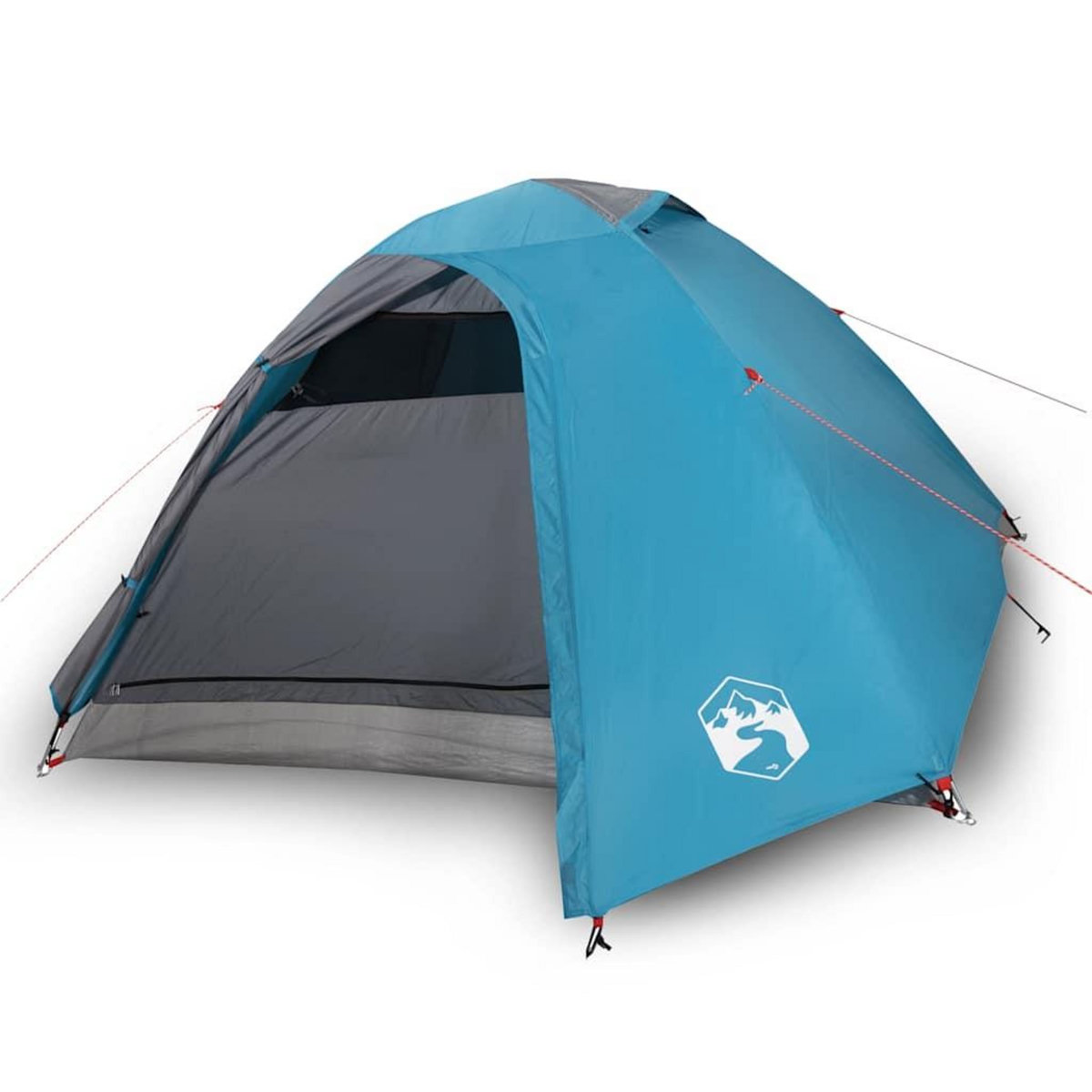 VIDAXL Tente de camping a dome 4 personnes bleu impermeable