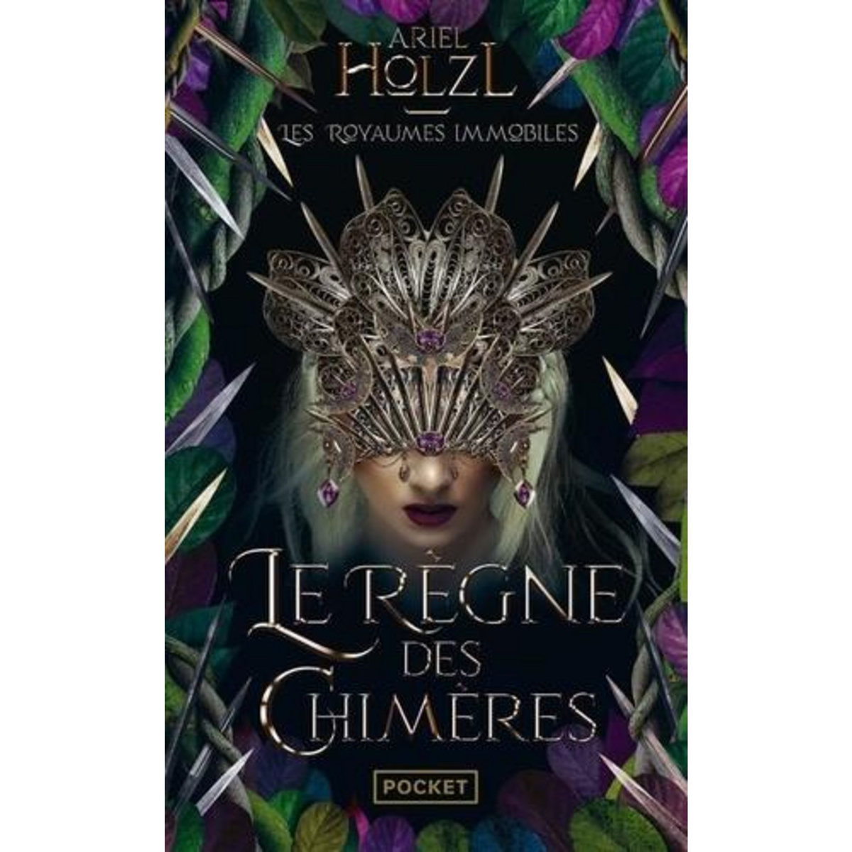 LES ROYAUMES IMMOBILES TOME 2 : LE REGNE DES CHIMERES, Holzl Ariel