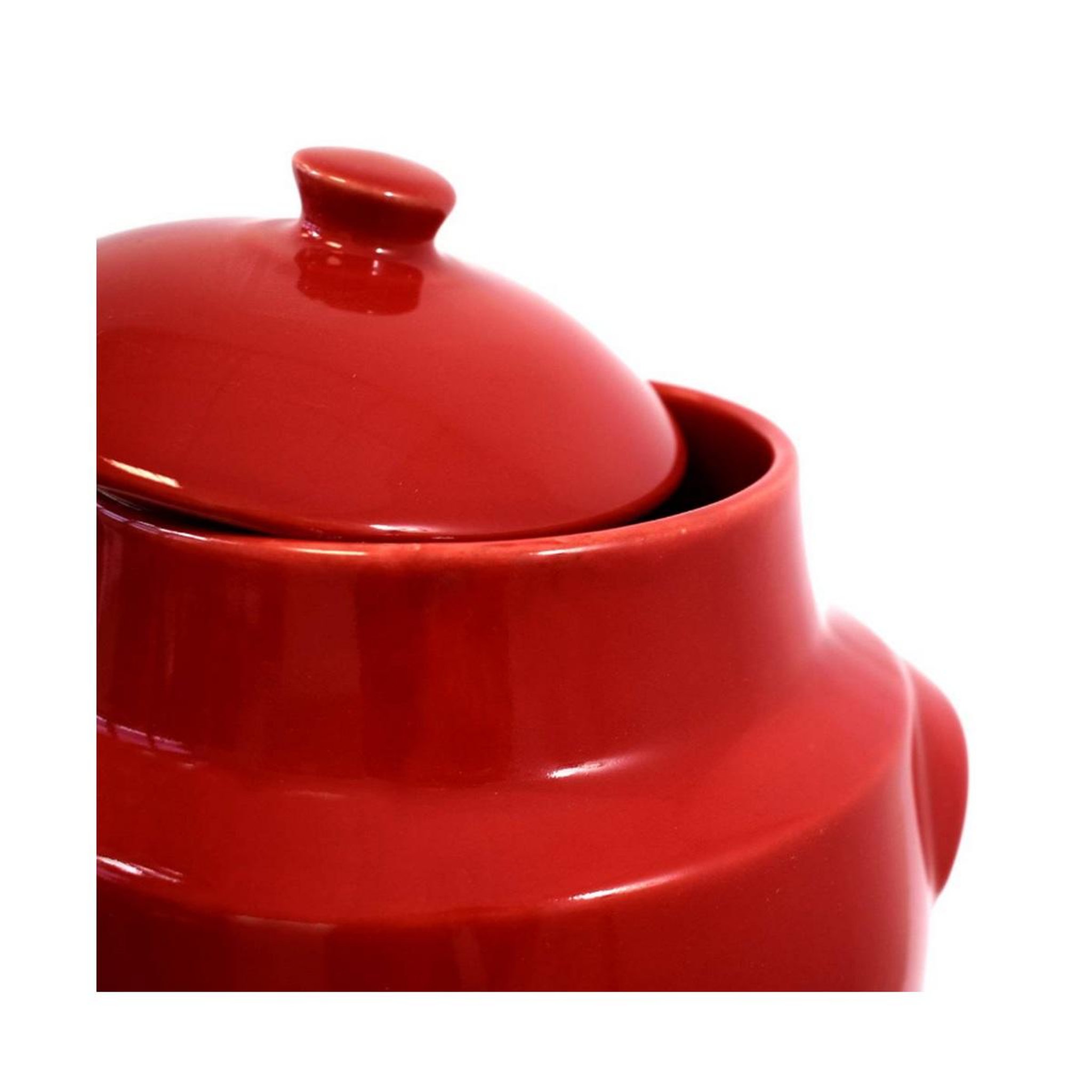 Voir la diapositive 2 : Duhalle Vinaigrier 4l rouge - 0319