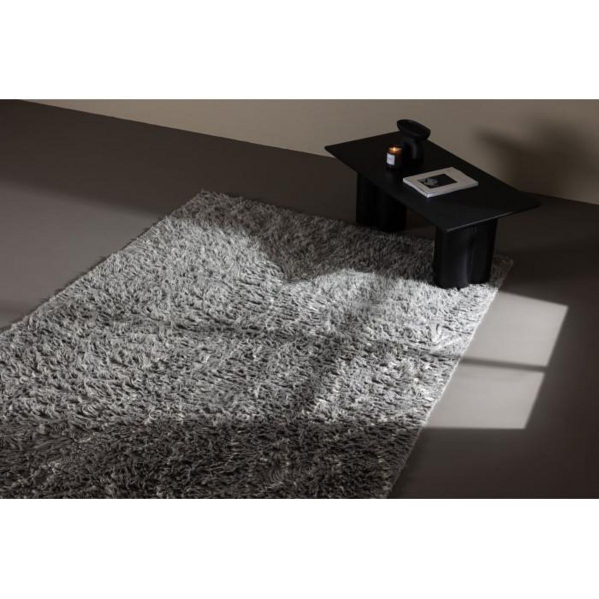 Paris Prix Tapis Déco en Laine  Leiko  200x300cm Gris