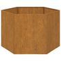 Voir la diapositive 5 : VIDAXL Jardiniere Rouille 60x60x45 cm Acier corten