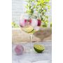Voir la diapositive 2 : COSY MOMENTS VERRE COCKTAIL 70CL SET6
