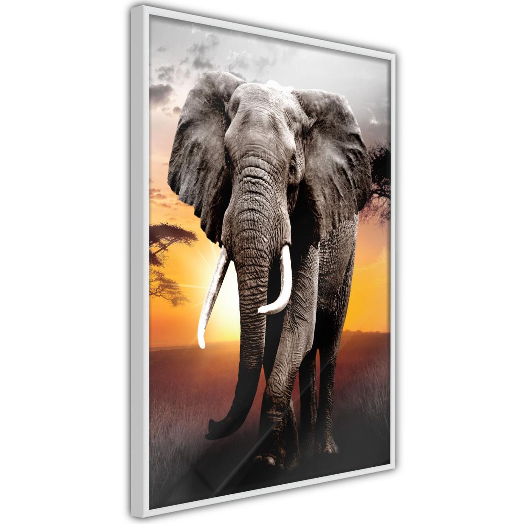 Paris Prix Affiche murale encadrée  majestic elephant