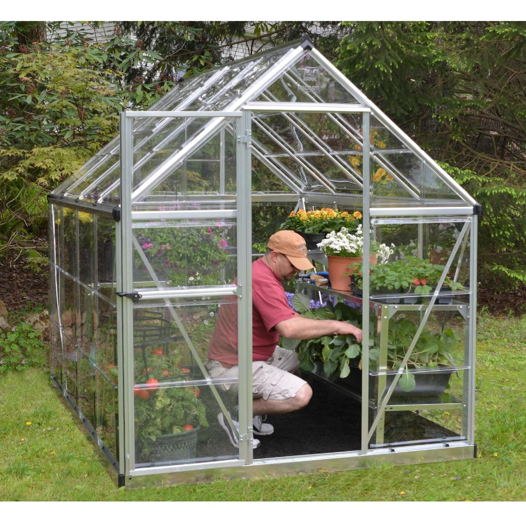 Voir la diapositive 3 : Canopia by PALRAM Serre de jardin - Polycarbonate - 4,6m² - HARMONY
