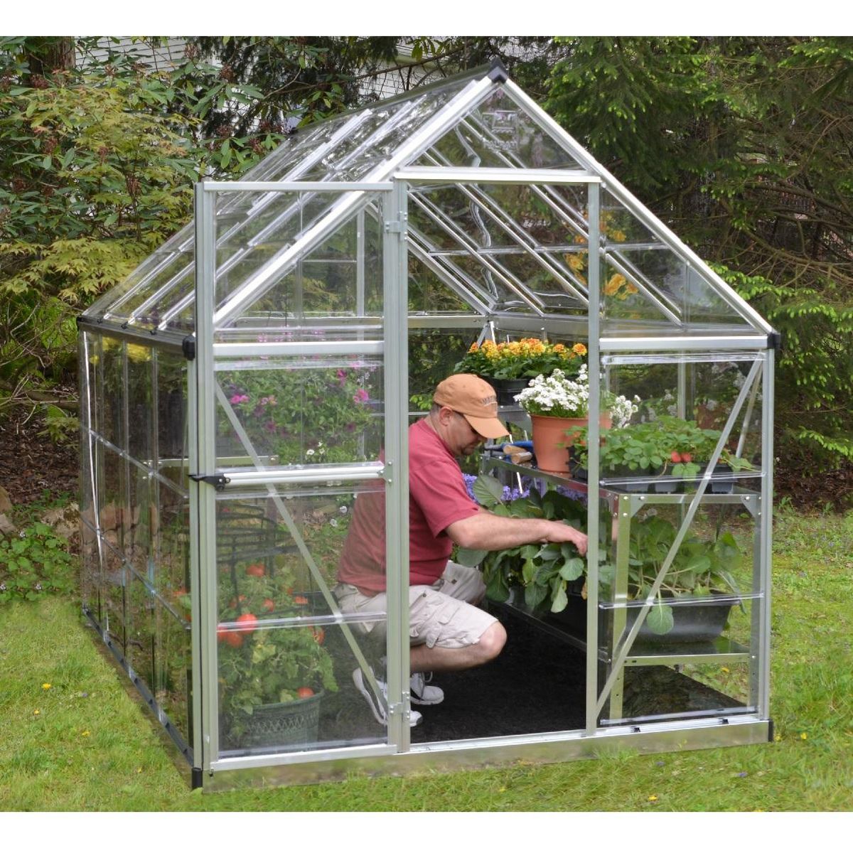 Canopia by PALRAM Serre de jardin - Polycarbonate - 4,6m² - HARMONY