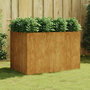 Voir la diapositive 1 : VIDAXL Lit sureleve de jardin 120x80x80 cm acier corten