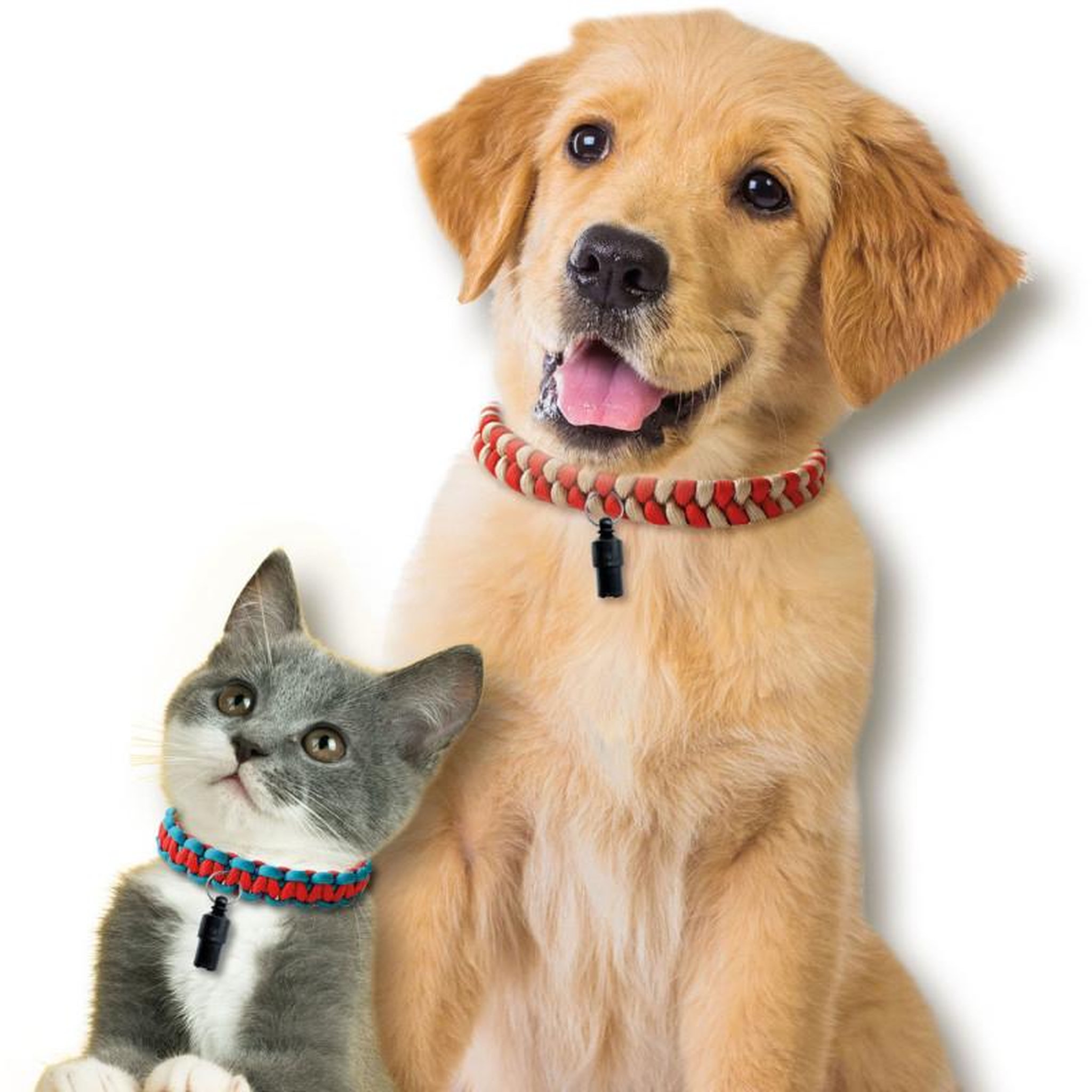 Voir la diapositive 4 : SES SES - Make SES Paracord Pet Collars 14784