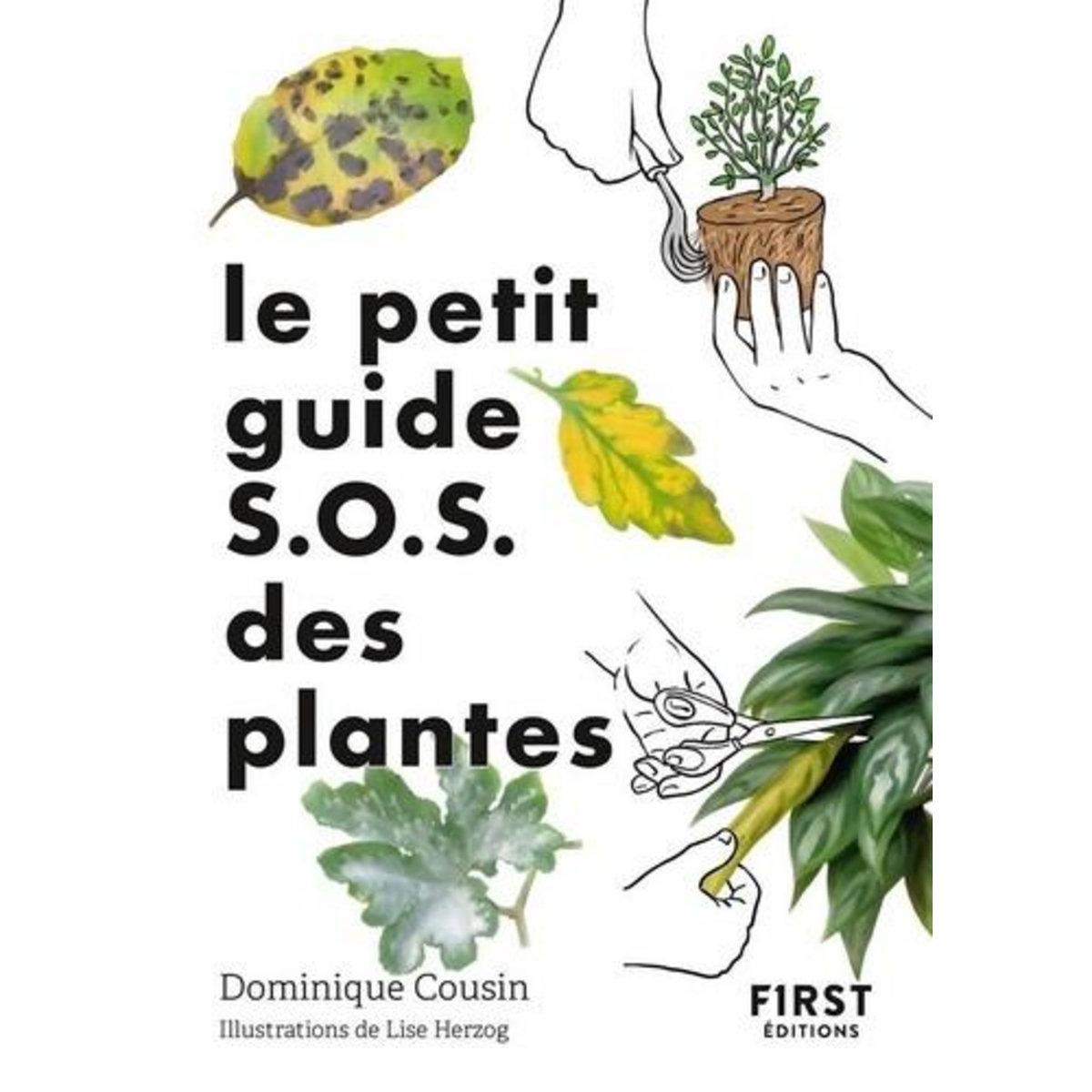 LE PETIT GUIDE S.O.S. DES PLANTES, Cousin Dominique