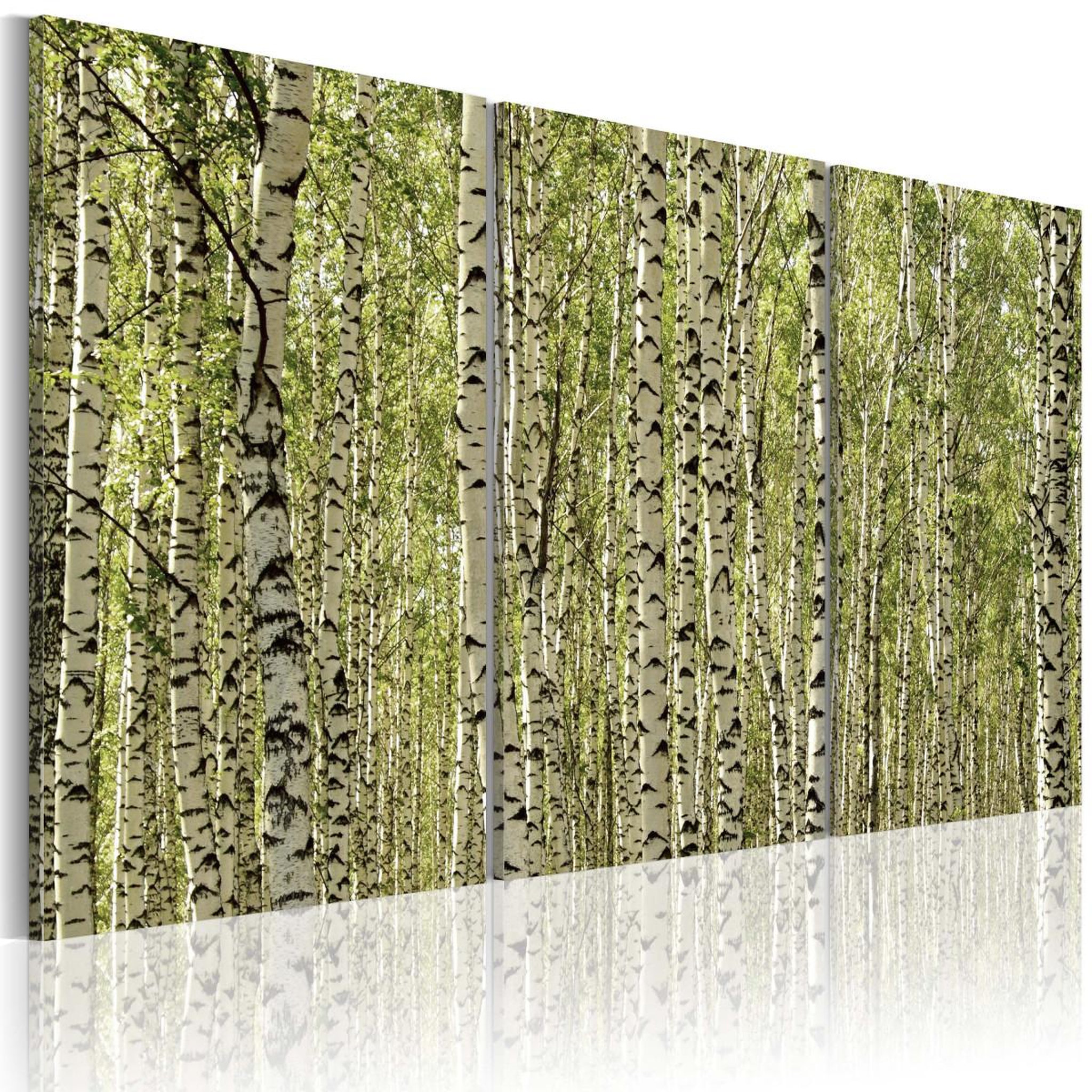 Paris Prix Tableau imprimé  forêt de bouleaux. Coloris disponibles : Multicolore