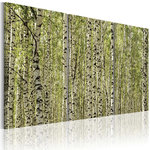 Paris Prix Tableau Imprimé  Forêt de Bouleaux. Coloris disponibles : Multicolore