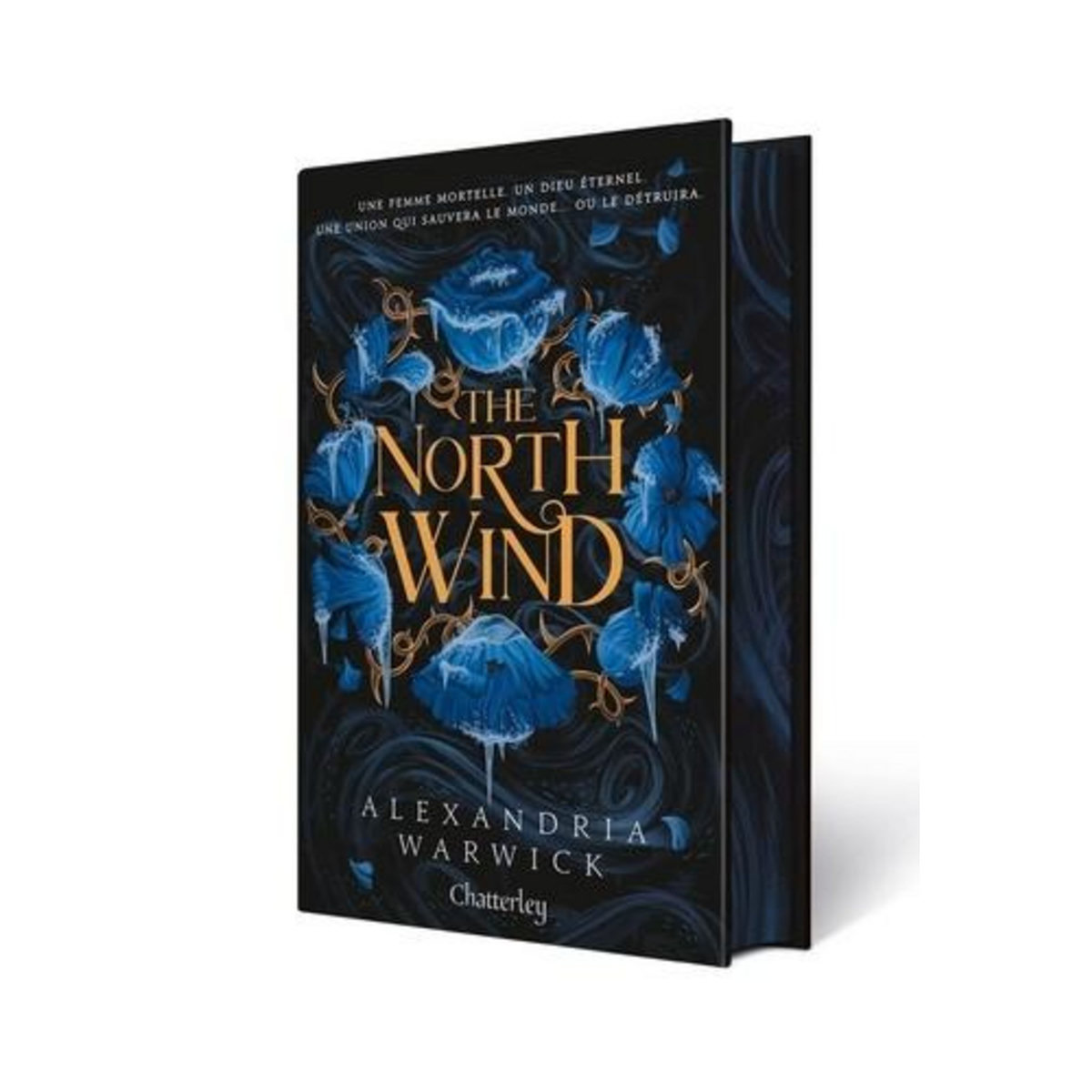THE FOUR WINDS TOME 1 : THE NORTH WIND, Warwick Alexandria