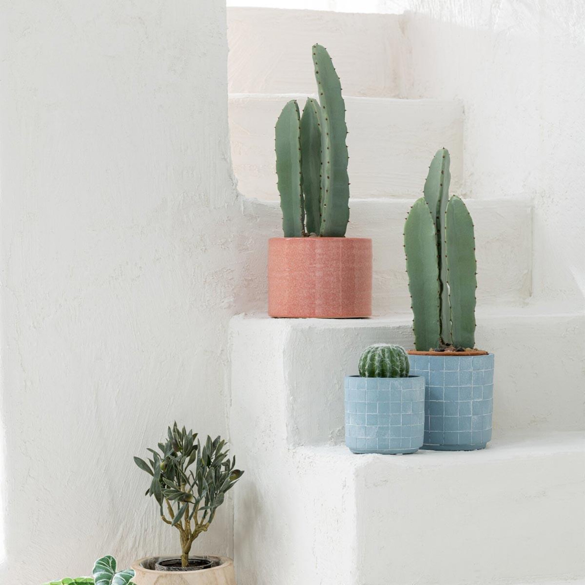 Voir la diapositive 2 : J-LINE Plante artificielle en pot  cactus  48cm vert