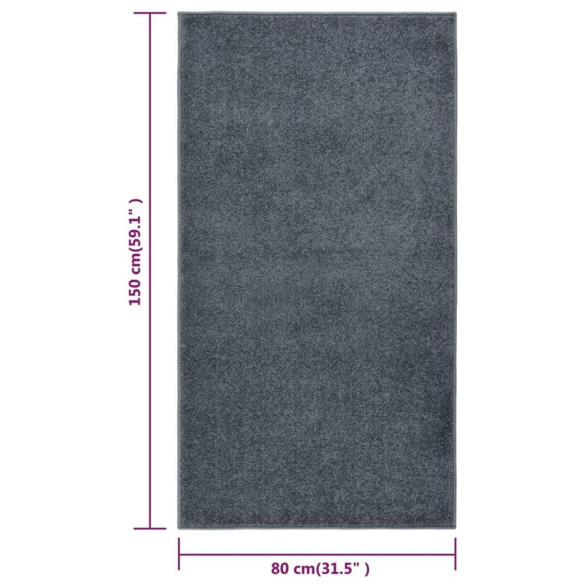 VIDAXL Tapis a poils courts 80x150 cm Anthracite