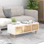Voir la diapositive 1 : VIDAXL Table basse Blanc 80x40x30 cm Bois d'ingenierie et pin massif