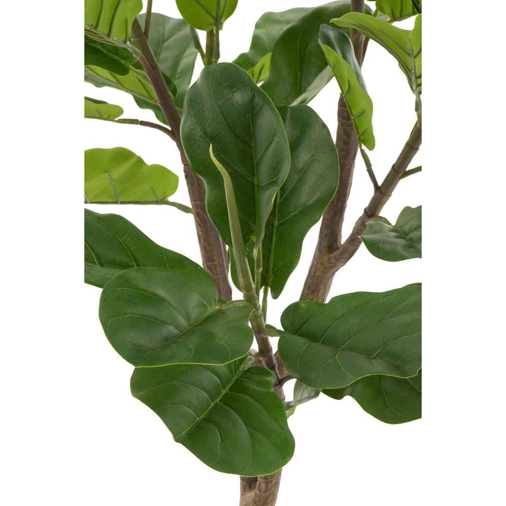 Voir la diapositive 2 : J-LINE Plante artificielle en pot  ficus  129cm vert & noir